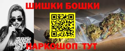 крисы Ставрополь