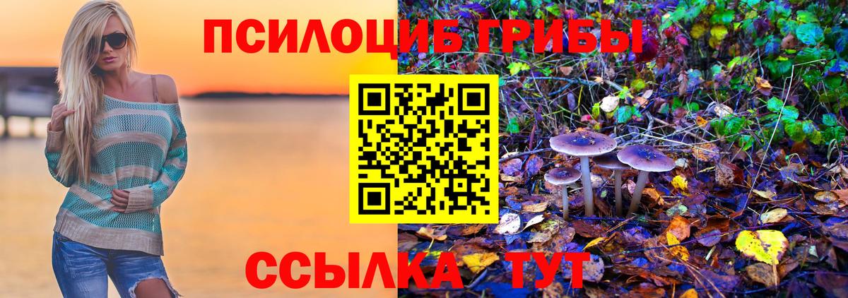 Псилоцибиновые грибы GOLDEN TEACHER Отрадное