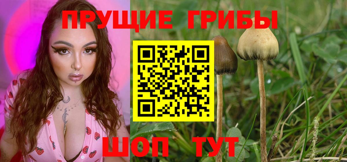 Псилоцибиновые грибы ЛСД  Галлюциногенные грибы ЛСД  Вход с VPN  хочу наркоту  Отрадное 